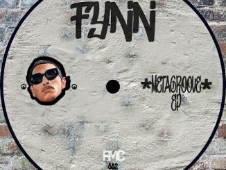 Fynn - Metagroove (Original Mix)
