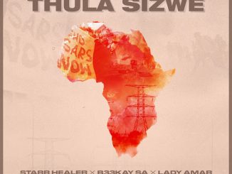 Starr Healer - Thula Sizwe