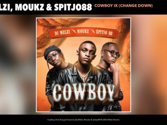 DJ Melzi - Cowboy Ix (Change Down) (Official Audio)
