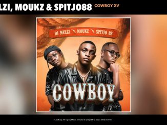 DJ Melzi - Cowboy Xv (Official Audio)