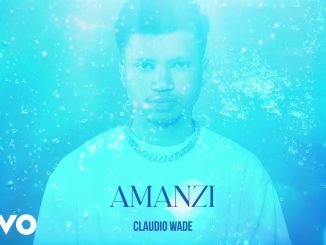 Claudio Wade - Amanzi