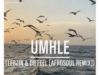 Semitone - Umhle (Lebzin & Dr Feel Afrosoul Remix) (Lebzin & Dr Feel Afrosoul Remix Extended Version)