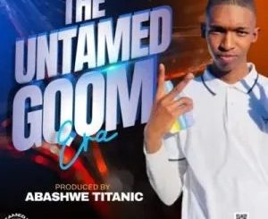 Abashwe Titanic – Untamed ft Cheelex SA