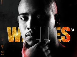 ALBUM: Wallies SA - The Remix Special (Zip & Mp3)