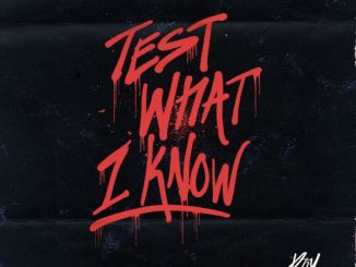 Roy Woods – Test What I Know
