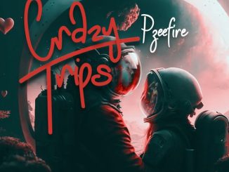 Pzeefire – Crazy Trips