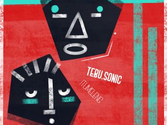 Tebu.Sonic - Itumeleng (Sonitech Mix) (Prod. Tebogo Ramoshaba)