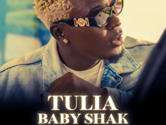 Willy Paul – Tulia Baby Shak