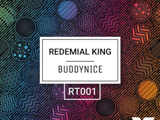 Buddynice - Draft (Redemial Mix)