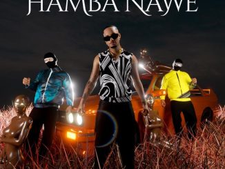 Masterpiece YVK x Nkulee 501 x Skroef28 – Hamba Nawe