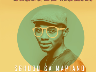 Shuffle Muzik – ENkundleni (Mochacha) ft Kbrizzy & Malindi