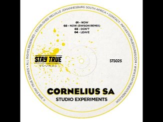 Cornelius Sa - Now (Dwson Remix)