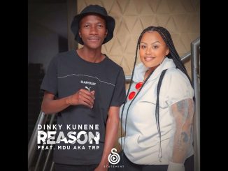 Dinky Kunene & Mdu Aka Trp - Reason Ft. Mdu A.K.A Trp