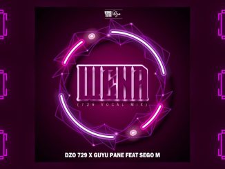 Dzo 729 & Guyu Pane - Wena (729 Vocal Mix) Ft. Sego M