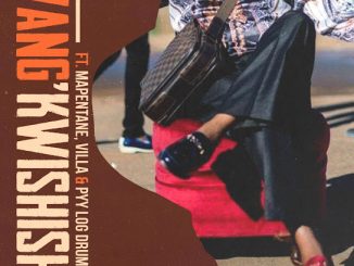 Tswyza - Wang’Kwishisha Ft. Villa, Mapentane & Pyy Logdrum King