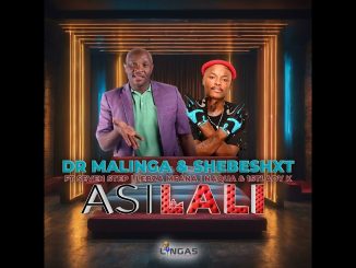 Dr Malinga & Shebeshxt - Asilali Ft. Seven Step, Lebza Mfana & Naqua & 1stlady K