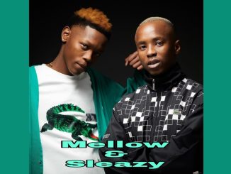 Mellow & Sleazy & Major Keys - Emergency (Remix) Ft. Major Keys