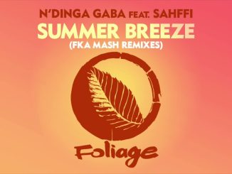 N’Dinga Gaba & Sahffi – Summer Breeze Fka Mash Re-Glitch Ft. Sahffi