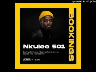 T&T Musiq - Jetset (Dub Mix) Ft. Nkulee501