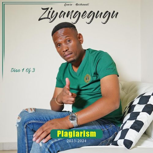 Ziyangegugu - Lwaphela