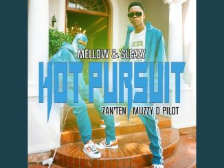 Mellow & Sleazy - Hot Pursuit Ft. Zan'Ten & Muzzy D Pilot