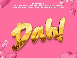 Nandy – Dah! Remix ft. G nako, Joh Makini, Rosa Ree, Khaligraph Jones & Moni Centrozone & Stamina