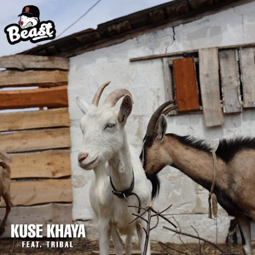 Beast Rsa - Kuse Khaya Ft. Tribal