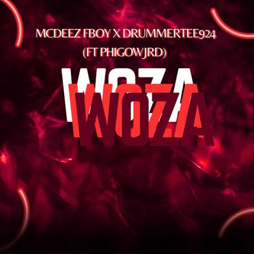 Mcdeez Fboy & Drummertee924 - Woza Woza Ft. Phigow Jrd