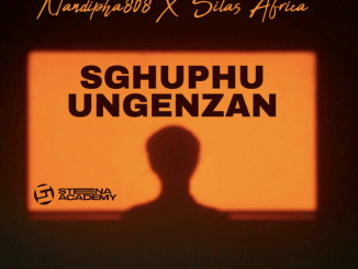 Nandipha808 - Sghuphu Ungenzan Ft. Silas Africa