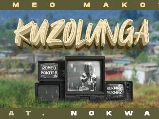 Romeo Makota - Kuzolunga Ft. Nokwazi Radio Edit