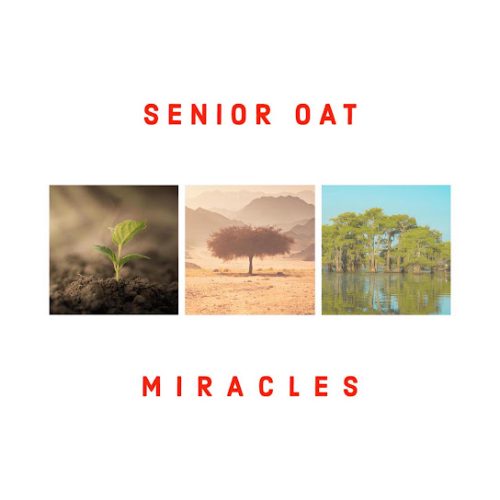 Senior Oat - Find You (Radio Edit) Ft. Alice Orion