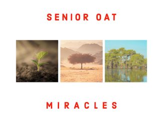 Senior Oat - The Only One Ft. Saltie