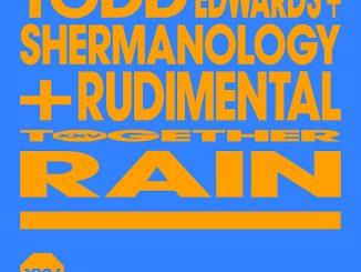 Todd Edwards – Rain Ft. Shermanology & Rudimental