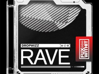 Dropwizz - Rave