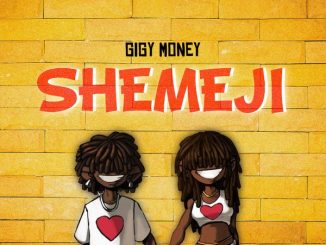 Gigy Money – Shemeji