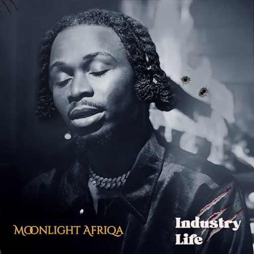 Moonlight Afriqa - Industry Life
