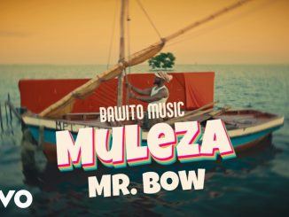 Mr. Bow - Muleza