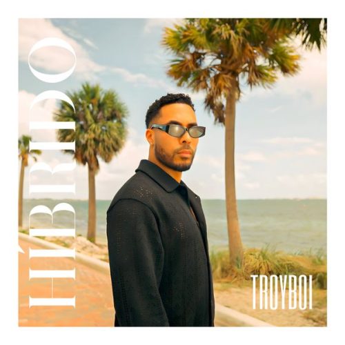 TroyBoi – Híbrido