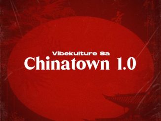 Vibekulture Sa - Chinatown 1.0