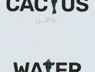 Channel Tres - Cactus Water